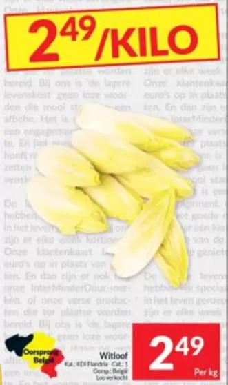 De - Witloof