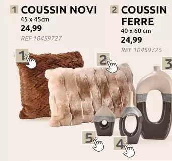 COUSSIN NOVI, COUSSIN FERRE