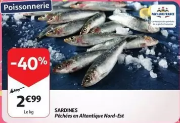 SARDINES