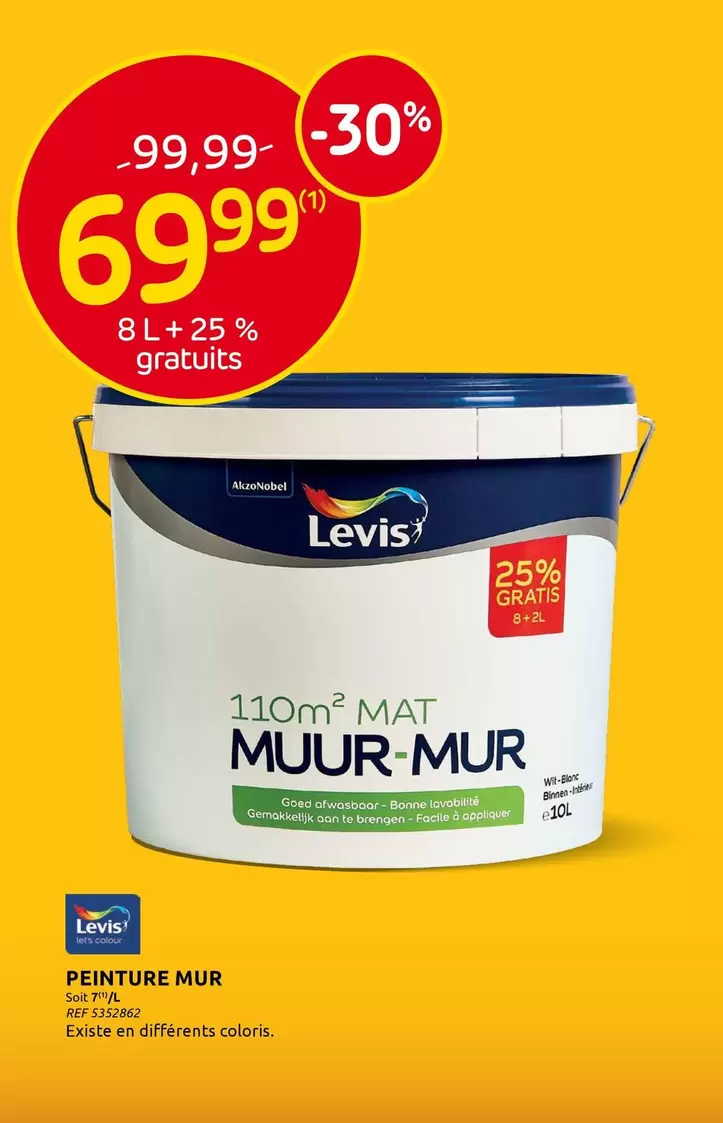 PEINTURE MUR