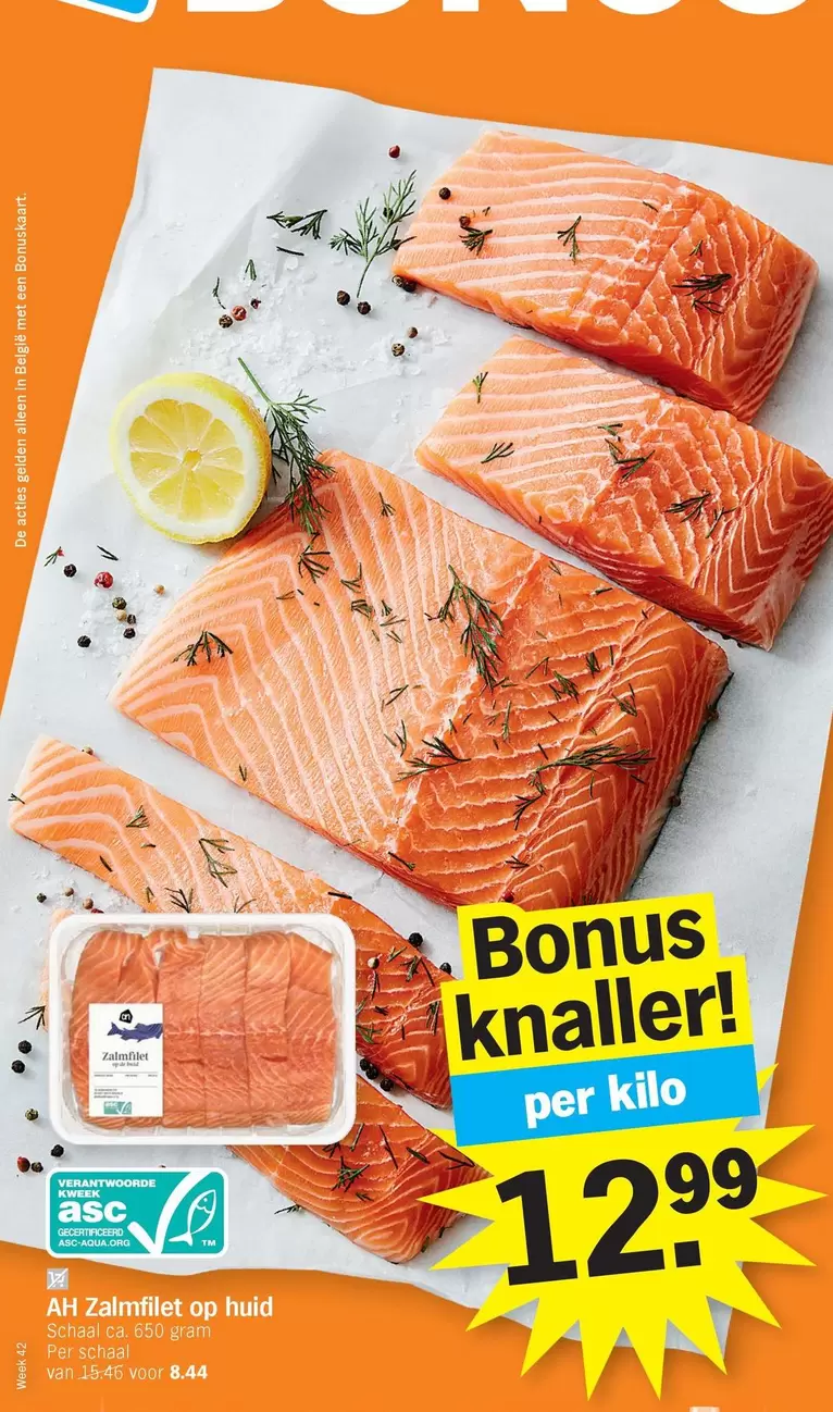 De - Zalmfilet op huid