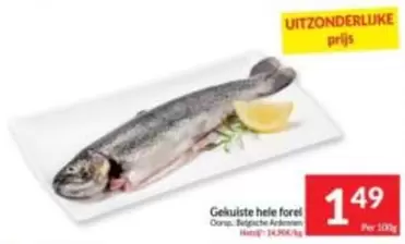 Gekuiste hele forel