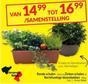 Cat - SAMENSTELLING