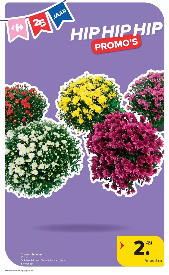 plantes à fleurs