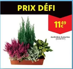 Jardinière 4 plantes