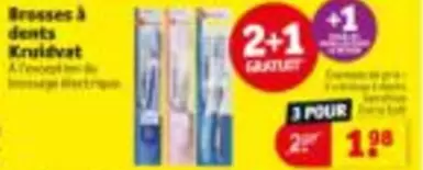 brosses à dents