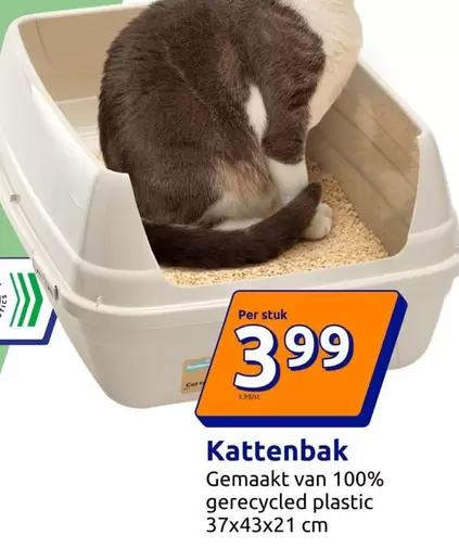 Kattenbak