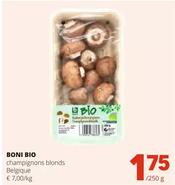Champignons Blonds