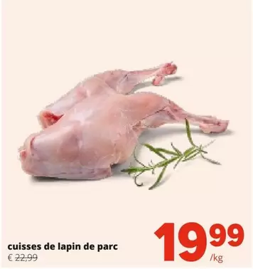 De - Cuisses  Lapin  Parc