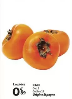 Cat - KAKI