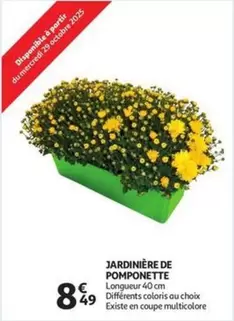De - JARDINIÈRE DE POMPONETTE