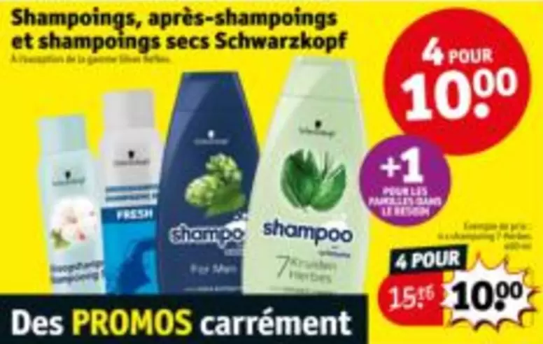 Shampoings, après-shampoings et shampoings secs