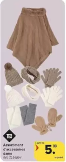 Assortiment d'accessoires dame