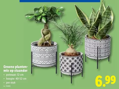 Mix - Groene planten-mix op staander