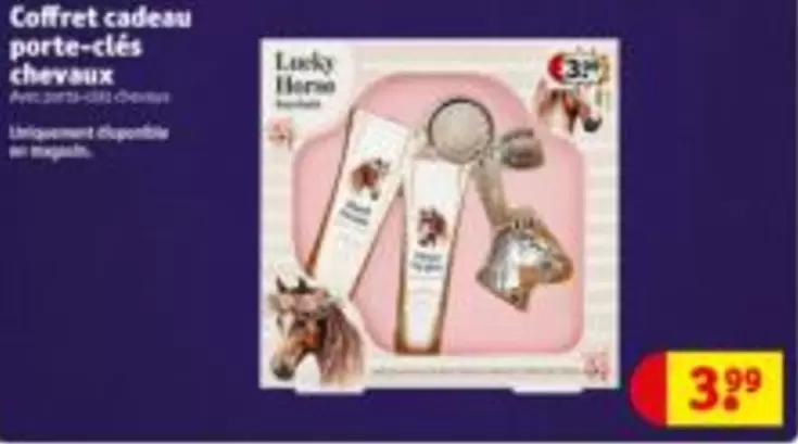 Cadeau - Cofret cadeau porte-clés chevaux