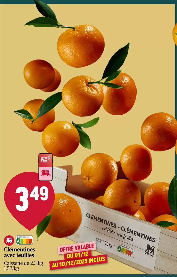 De - Clementines avec feuilles