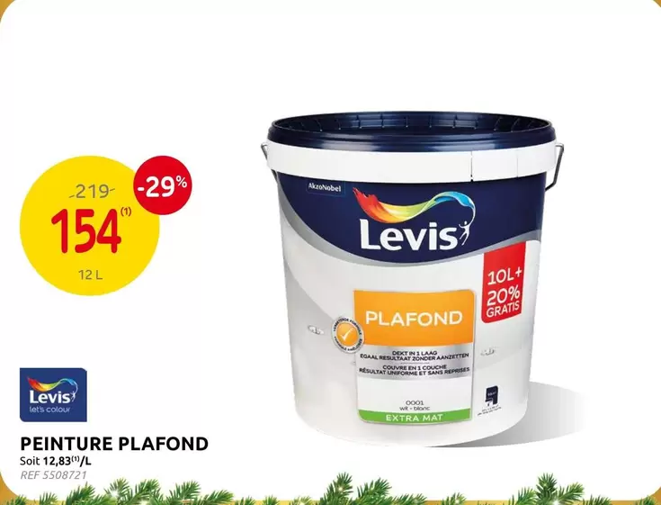 Extra - PEINTURE PLAFOND