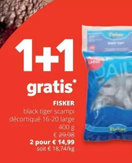 Black - Tiger Scampi