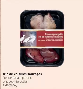 De - Trio  Volailles Sauvages