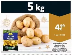 Extra - CHAIR FERME OU EXTRA FERME