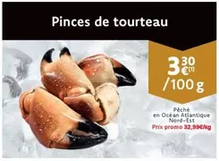 De - Pinces de tourteau