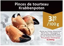 De - Pinces de tourteau Krabbenpoten