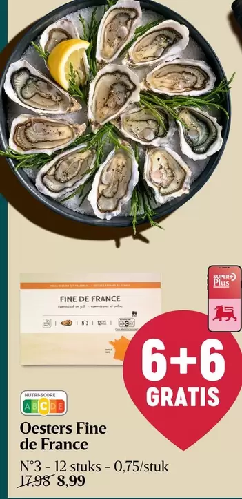 De - Oesters Fine de France