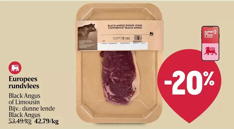 Black -  Angus of Limousin