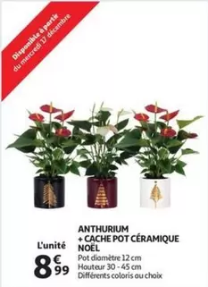 ANTHURIUM + CACHE POT CÉRAMIQUE NOËL