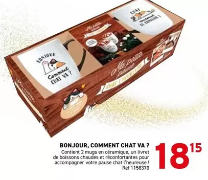 Bonjour - BONJOUR, COMMENT CHAT VA ?