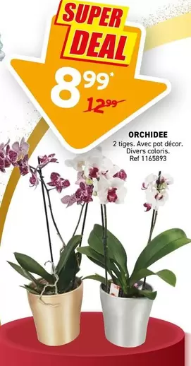 ORCHIDEE