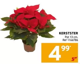 KERSTSTER