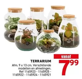 TERRARIUM