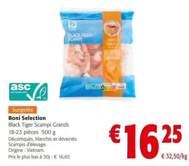 Black - Tiger Scampi Grands
