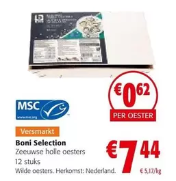 Zeeuwse holle oesters