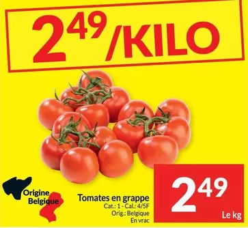 Cat - Tomates en grappe
