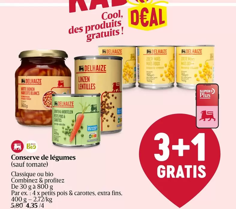 Cool - Conserve de légumes