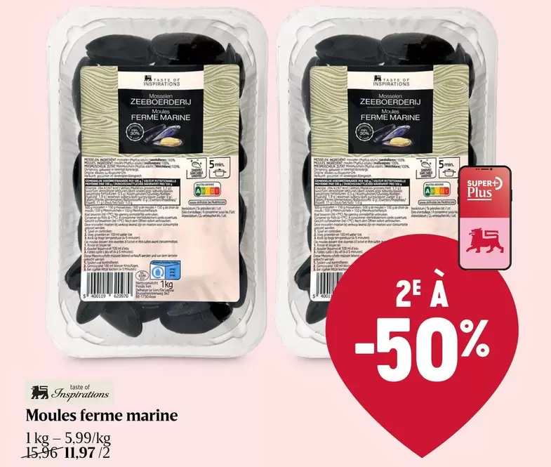 Moules ferme marine