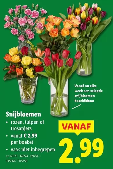 Nu - Snijbloemen
