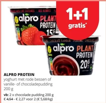 Live - PROTEIN