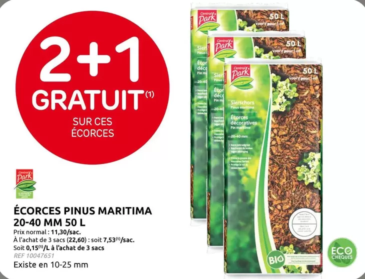 Dark - ÉCORCES PINUS MARITIMA