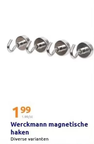 Werckmann magnetische haken