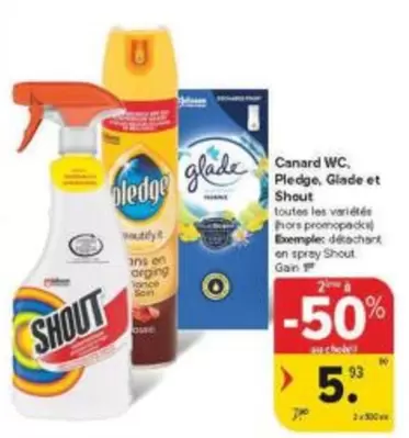 One - Canard WC, Pledge, Glade et Shout