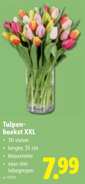 Tulpen- boeket XXL
