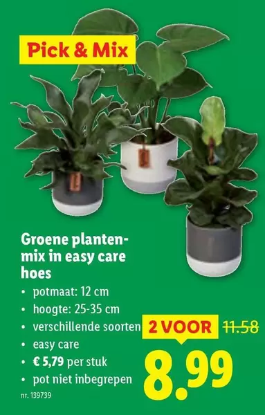 Mix - Groene planten-mix in easy care hoes