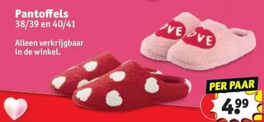 De - Pantoffels