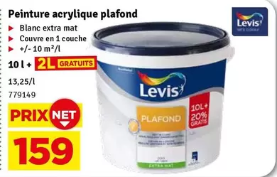 Extra - Peinture acrylique plafond
