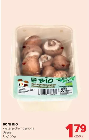Kastanjechampignons