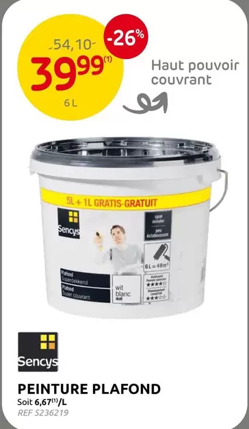 PEINTURE PLAFOND