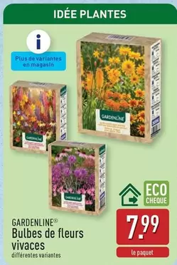 De - Bulbes de fleurs vivaces